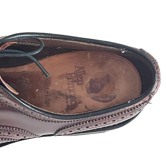 Allen Edmonds Cambridge Shell Cordovan Wingtip Dress Shoes Brown, 8685, Size 9 C main image 8